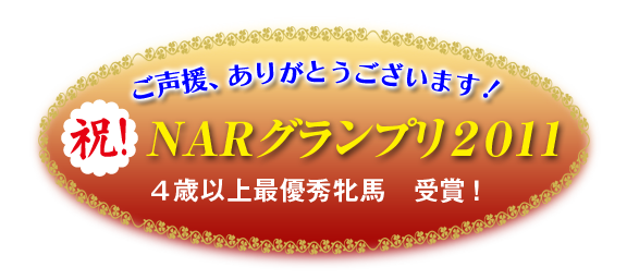 応援ありがとうございました　１２月２８日　園田・統一ＧⅢ　ダート１４００ｍ　兵庫ゴールドトロフィー　８着　次走未定